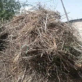 Odyn garym gatym tönnede bar