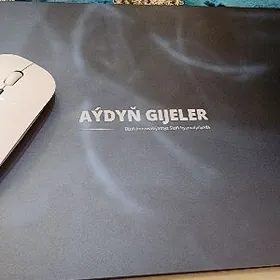 Aydyn gijeler notebook