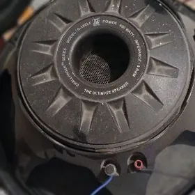 toy kalonka dinamik nizki