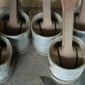 standart porsyn ligonk