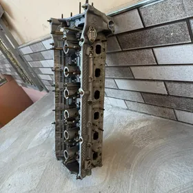 BMW Galofka 2 lik gosa