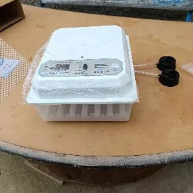Incubator Инкубатор на 36 яиц