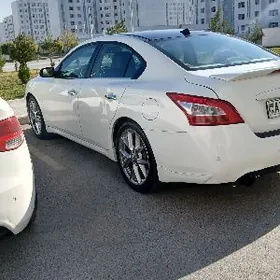 Nissan Maxima 2010