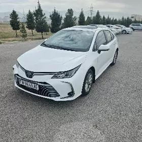 Toyota Corolla 2023