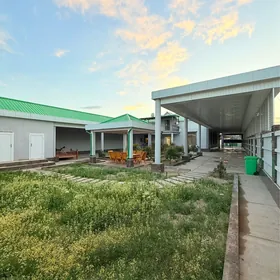 satlyk jaý Hitrowka grbaýet 4s