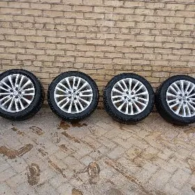 limted 17 carola  215.50.17