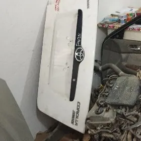 Bagajnik koralla Haliji