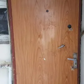 Дверь железная