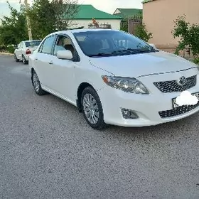 Toyota Corolla 2010