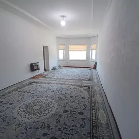 haly 5×4.    704 читим