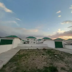 Satlyk Coganly Gos Kotež