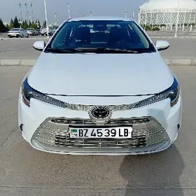 Toyota Corolla 2023