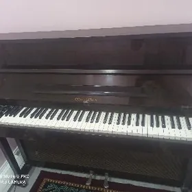 pianino elekronika пионина эле