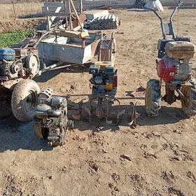 Satlyk yer suryan tyraktyr