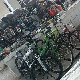 Tigir ussa zapjas bezegler