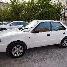 Toyota Corolla 1995