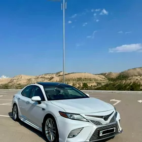 Toyota Camry 2019