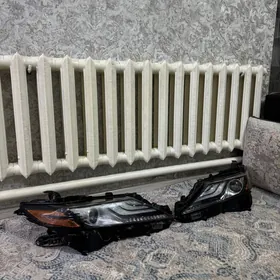 Fara Xse Orginal Mordo