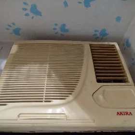 кандисанер