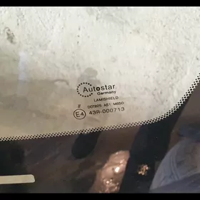 Лобовой Айна