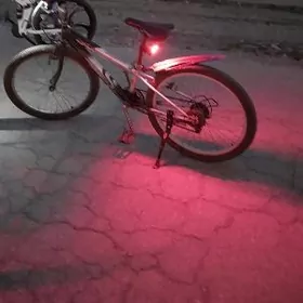 Orginal spartiwni tigir