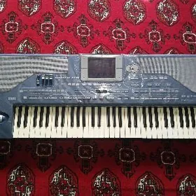 Korg pa800