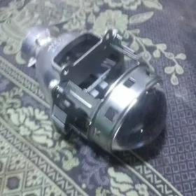 öküz faraň lupasy