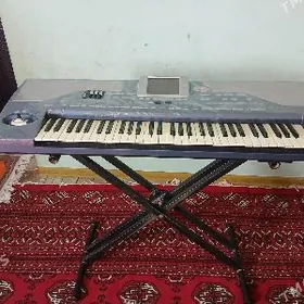 Korg pa800 TEJEN