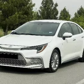 Toyota Corolla 2021