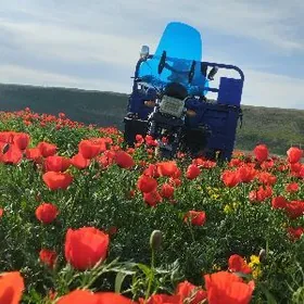 Fekon FK200-14G 2025