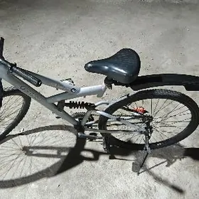 amesatr BMW welsepet