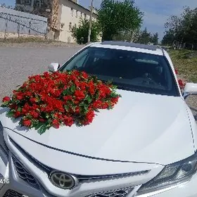 zohre masyn bezegleri