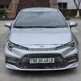 Toyota Corolla 2019