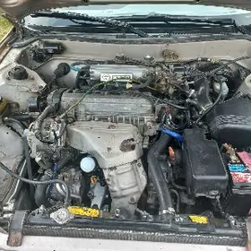 2 lik karona karopka