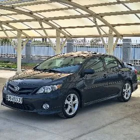 Toyota Corolla 2013