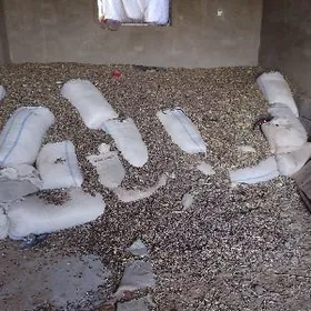 гунебакар чигит