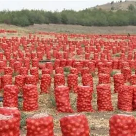 Daýhan işgär gerek