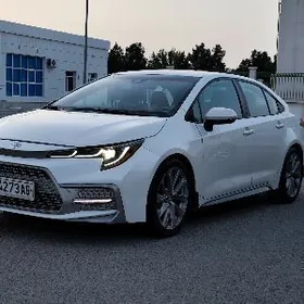 Toyota Corolla 2019