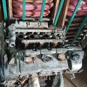 marot 3 lik WWT-i  6 V  24 V