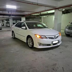 Toyota Camry 2013