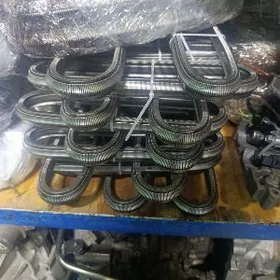 zynjyr morda karolla