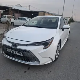 Toyota Corolla 2020