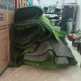 Gazon iskustwenni ot