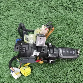 Zaziganiya+acar Elantra