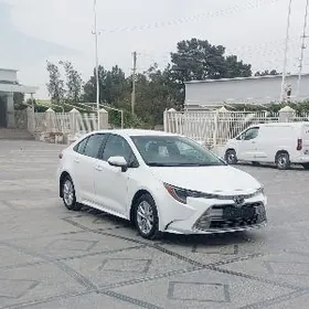 Toyota Corolla 2024
