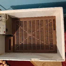 Инкубатор для яиц