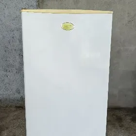 Talyp holodilnik mini