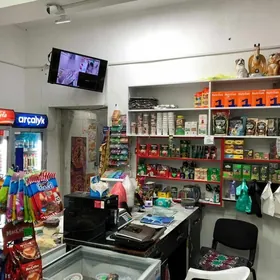 satlyk magazyn