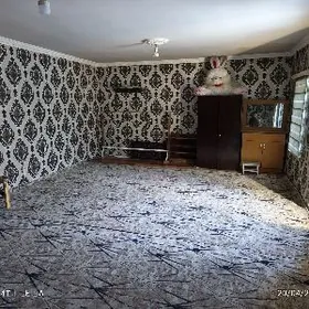 Şewçenko Energetika instituta