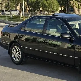 Toyota camry (babocka) molding